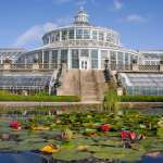 Botanisk have